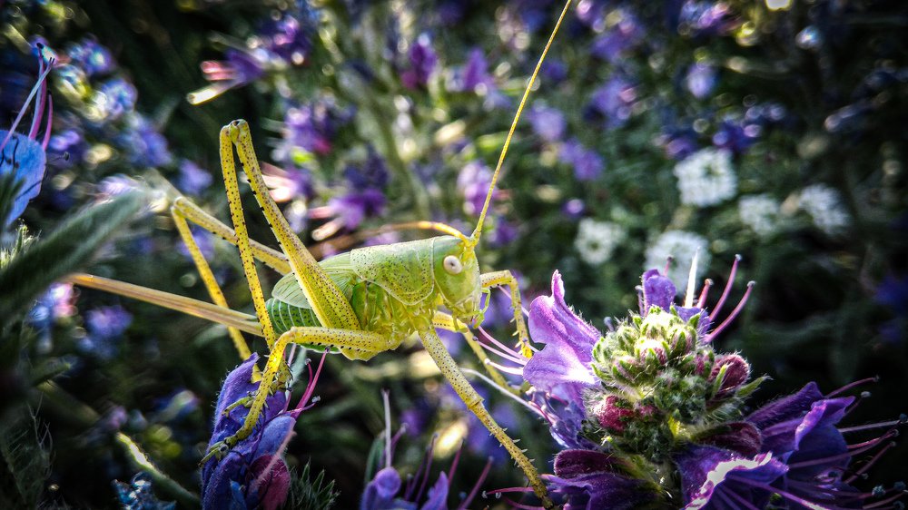 Photograph by Руслан Круглов