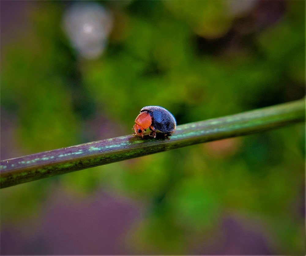 Photograph by Prakhar Sengar