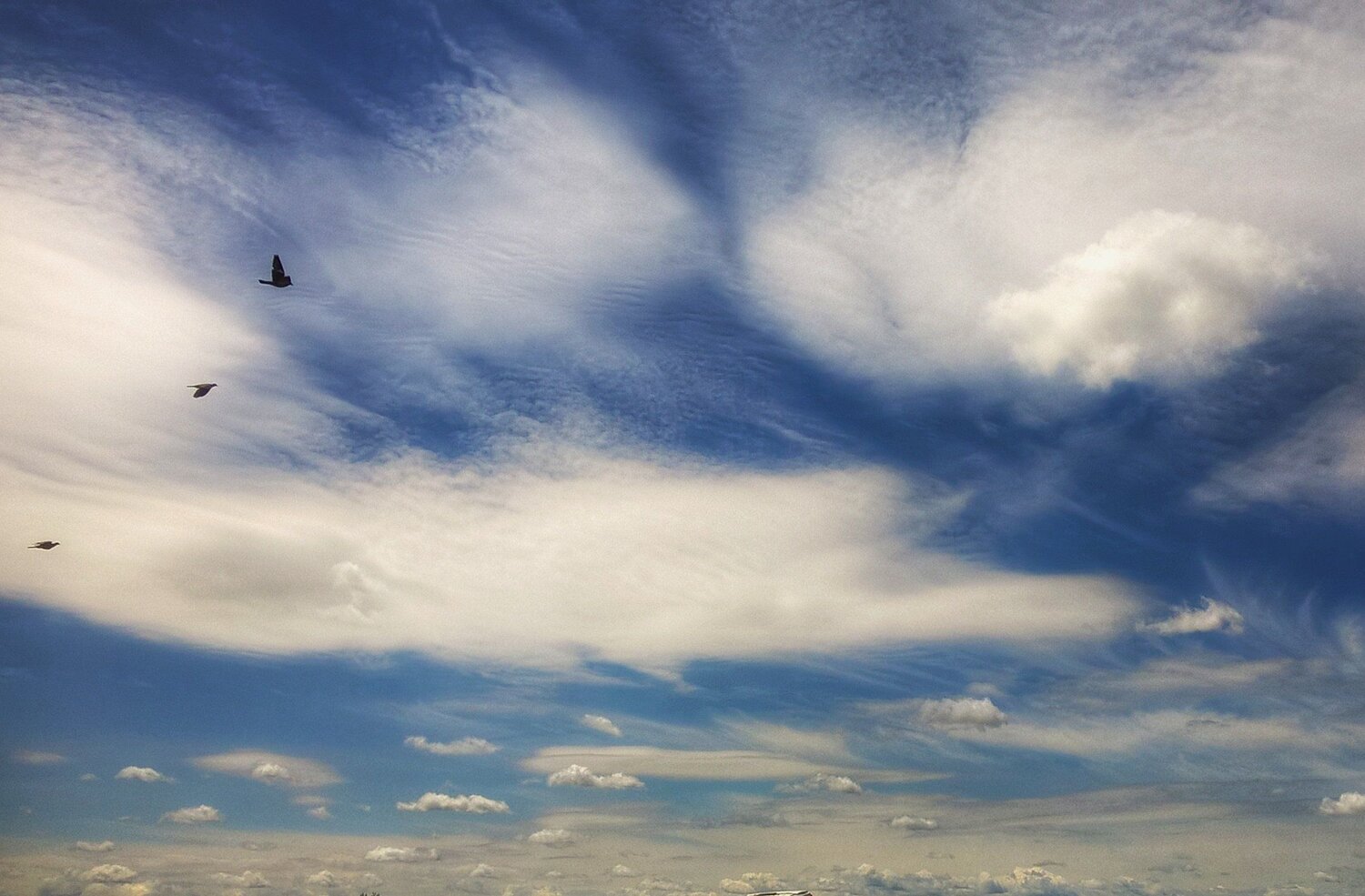 Sky