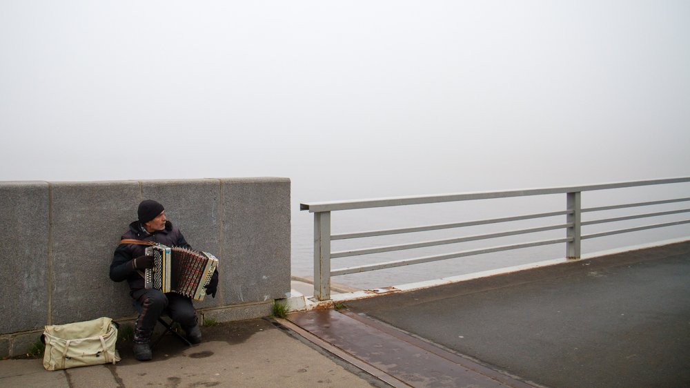 Гармонист в тумане