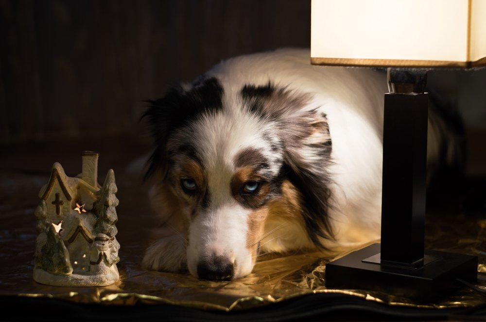 Фотография автора Наташа Каракулова