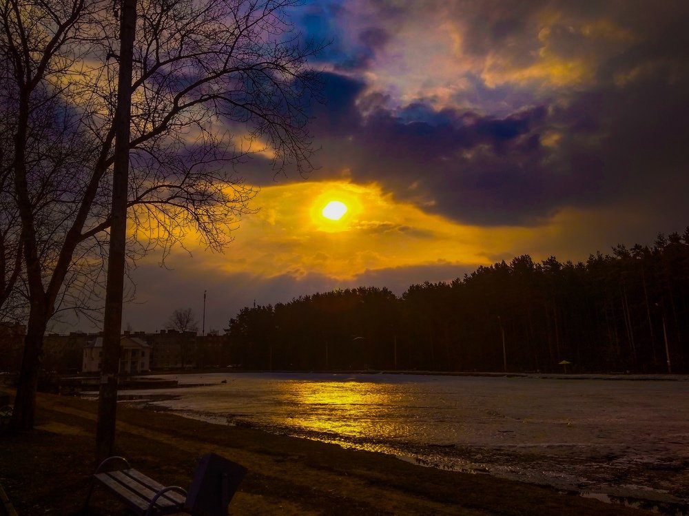 Рассвет на пруду.