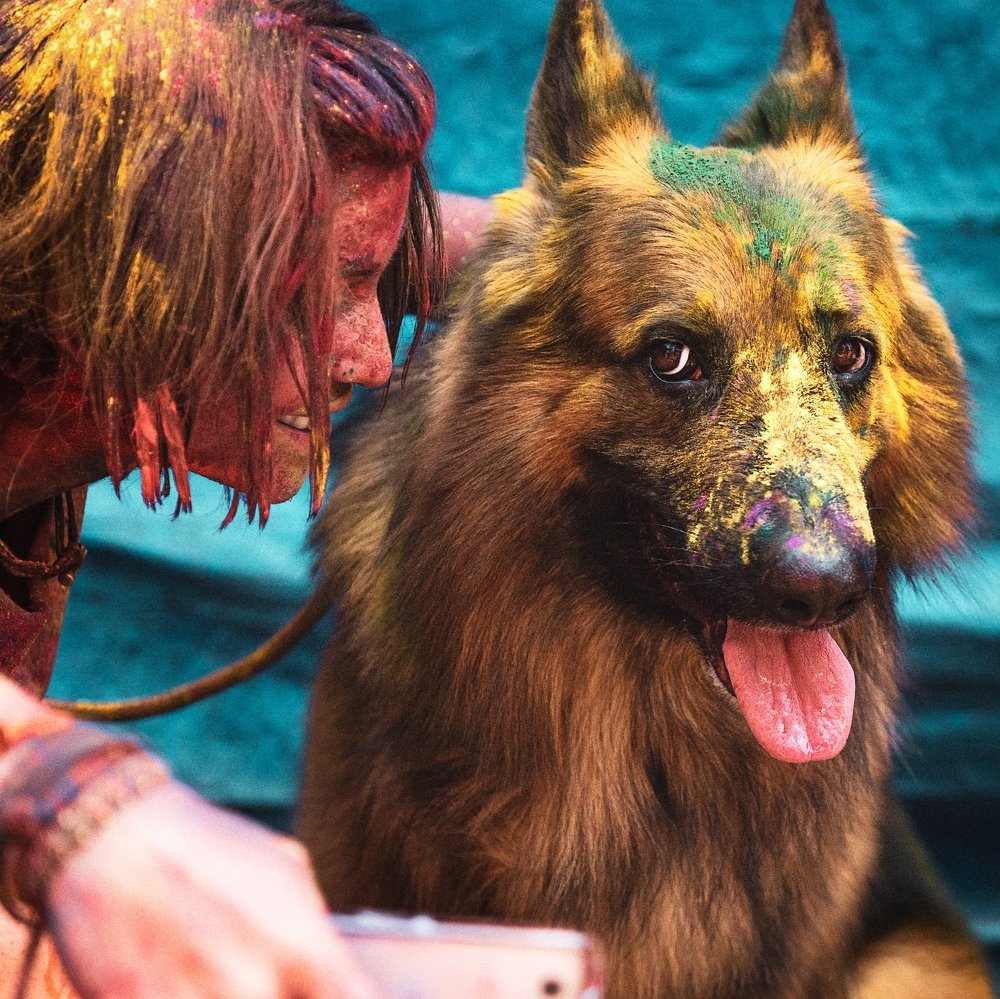 Photograph by Lara Noel