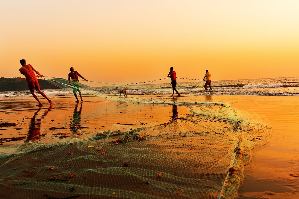 Photograph by Lara Noel