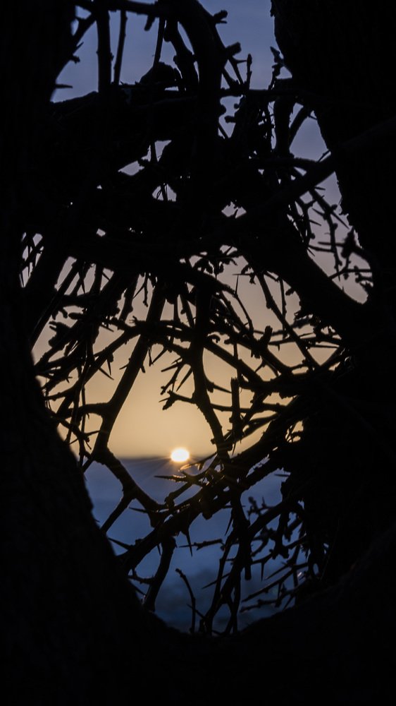 Фотография автора Sasan Khaledi