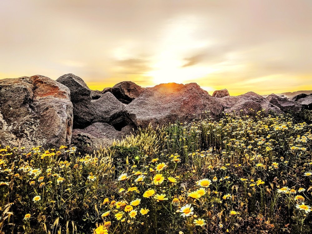 Photograph by Prakhar Sengar