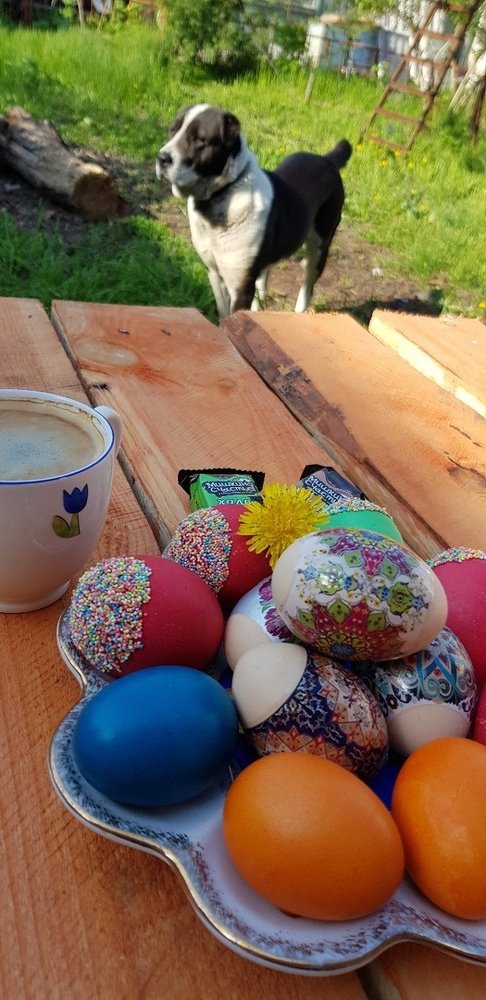 Фотография автора Ольга Мусина