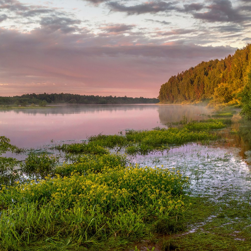 Июньское утро