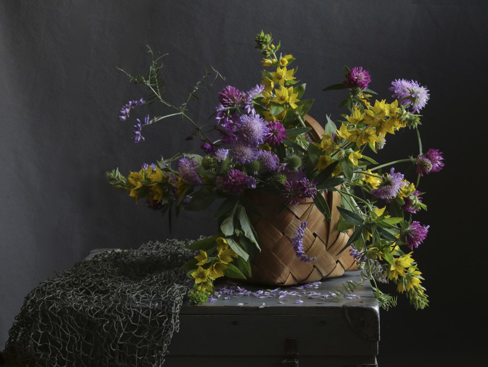 Полевые цветы