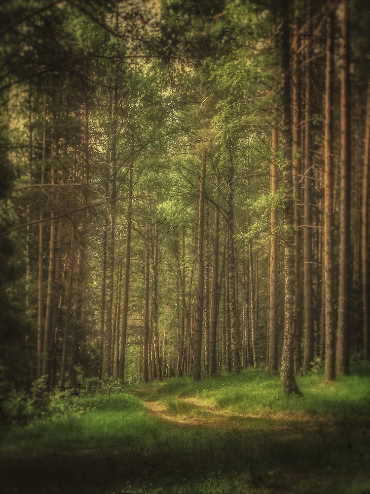 Photograph by Алексей Ошвинцев