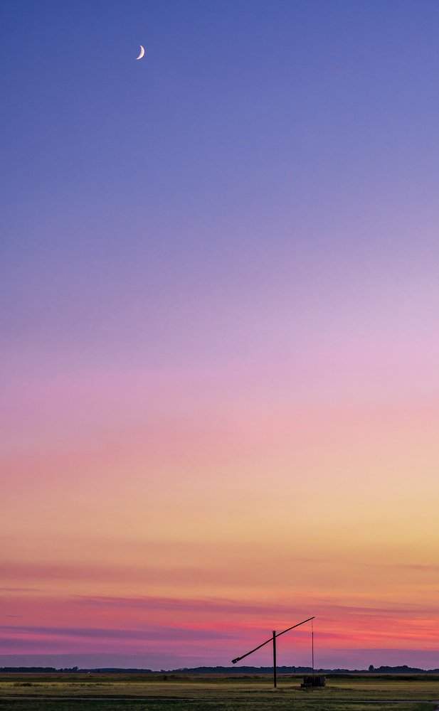 Shadoow of Hortobágy