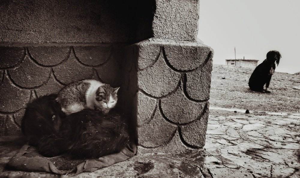 Photograph by Karash Zhanyshov