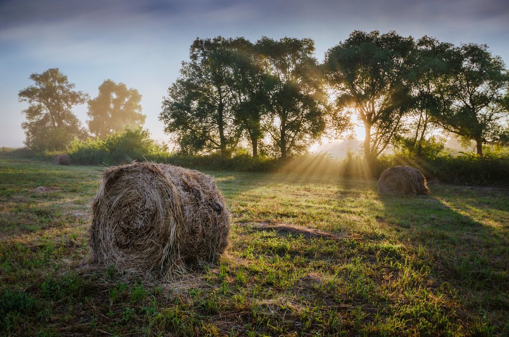 Утро на покосе