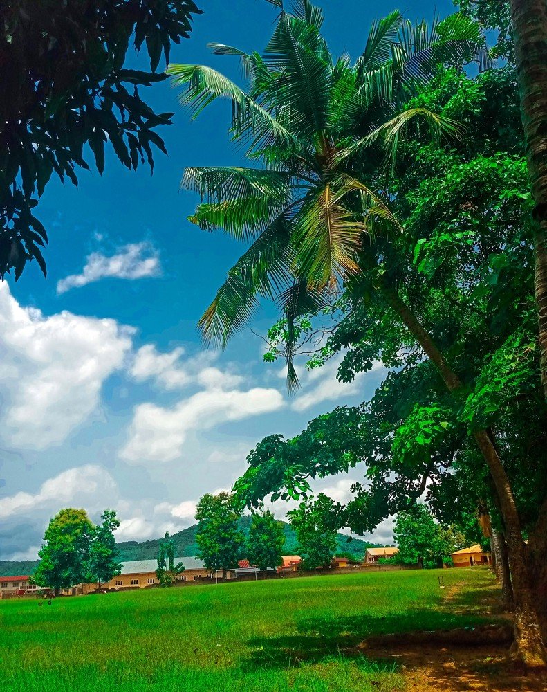 Environment