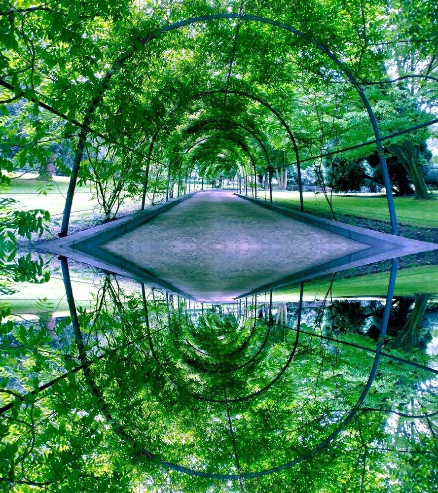 Reflections