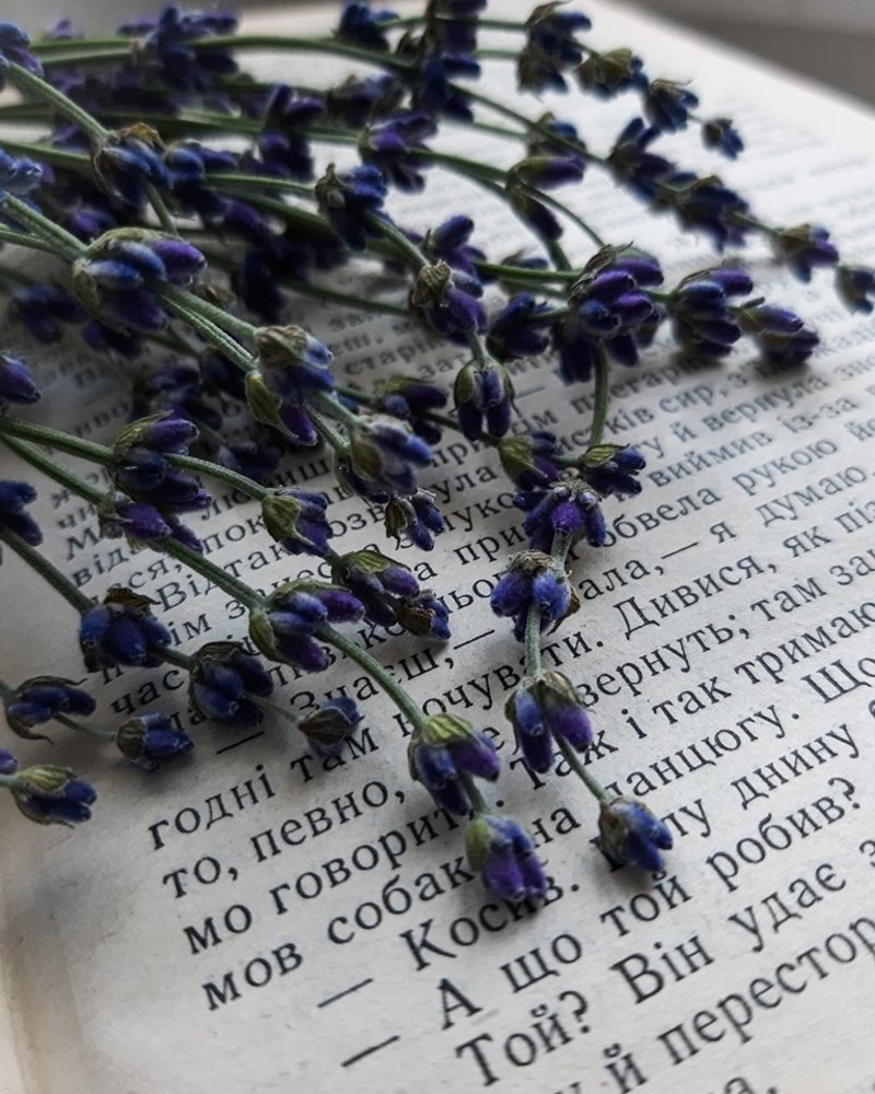 все банально и просто