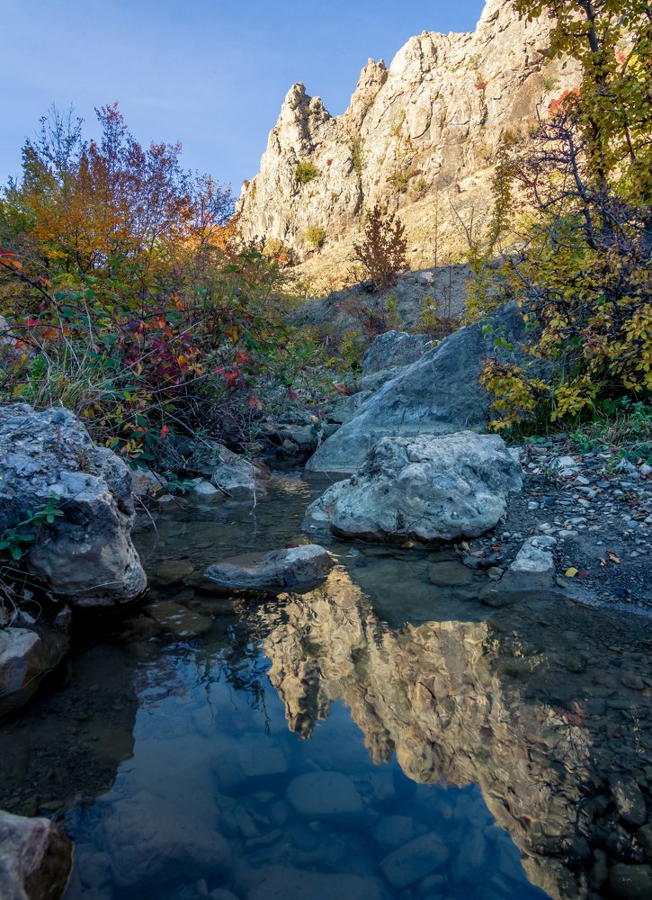 Photograph by Юлия Шумляева