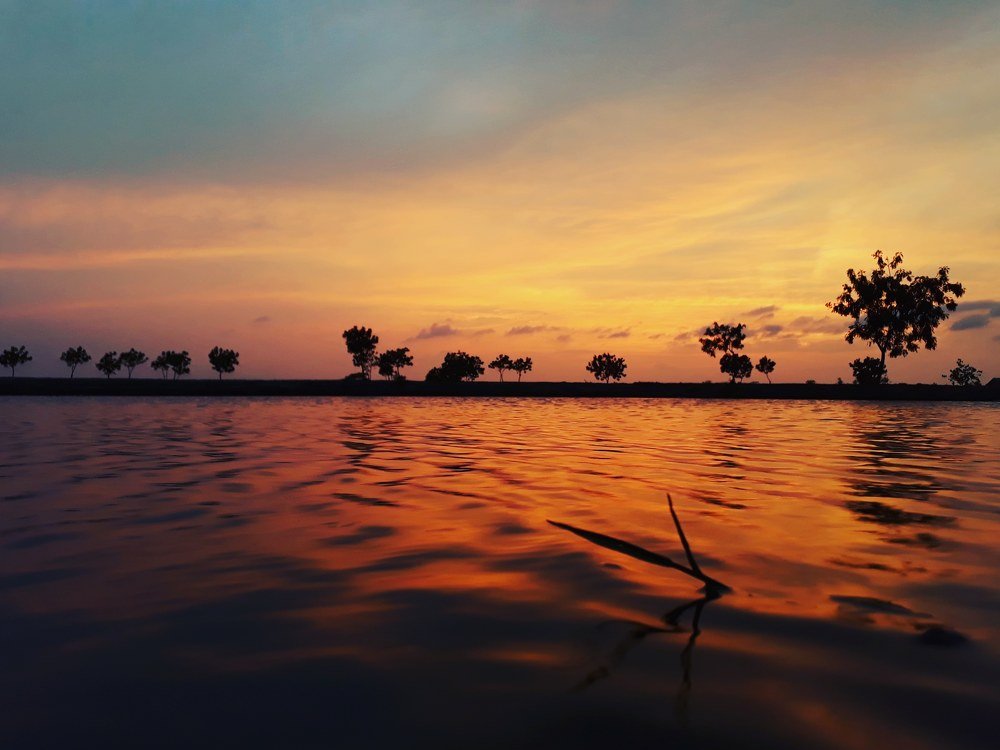 Afternoon Beauty of Bangladesh