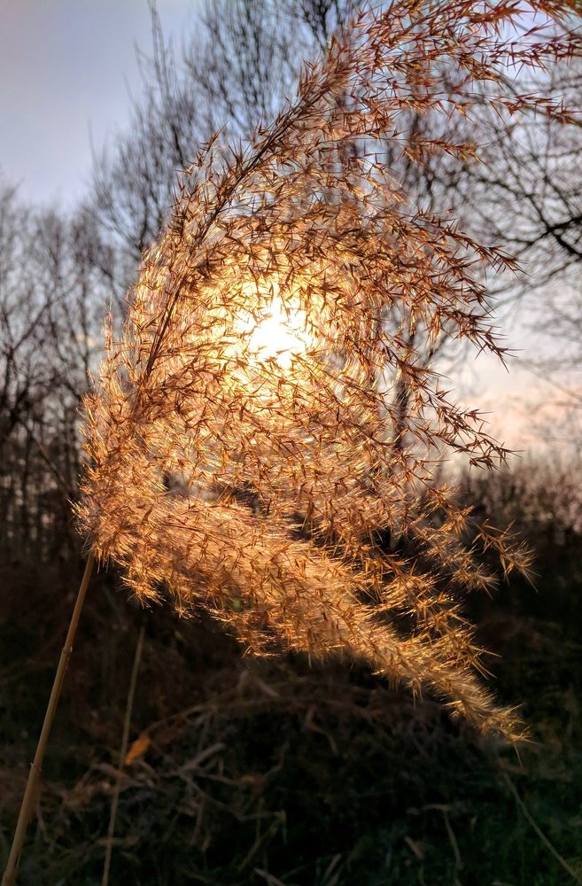 Микровселенная