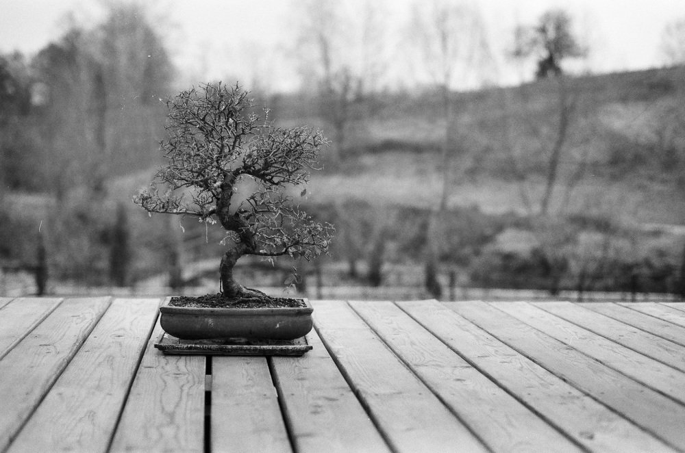 Фотография автора Денис Сухинин