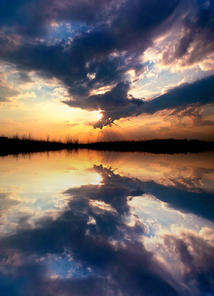 Photograph by Полина Хрол