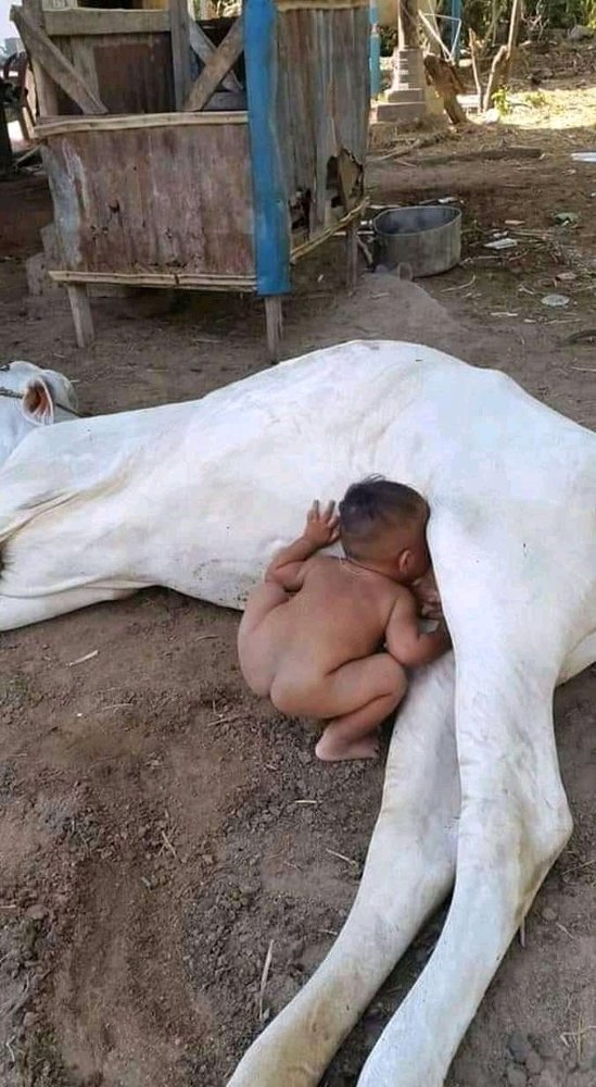 Amaizing kids