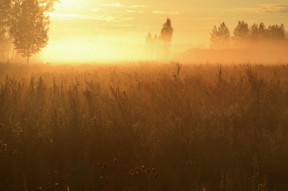 Ковер света