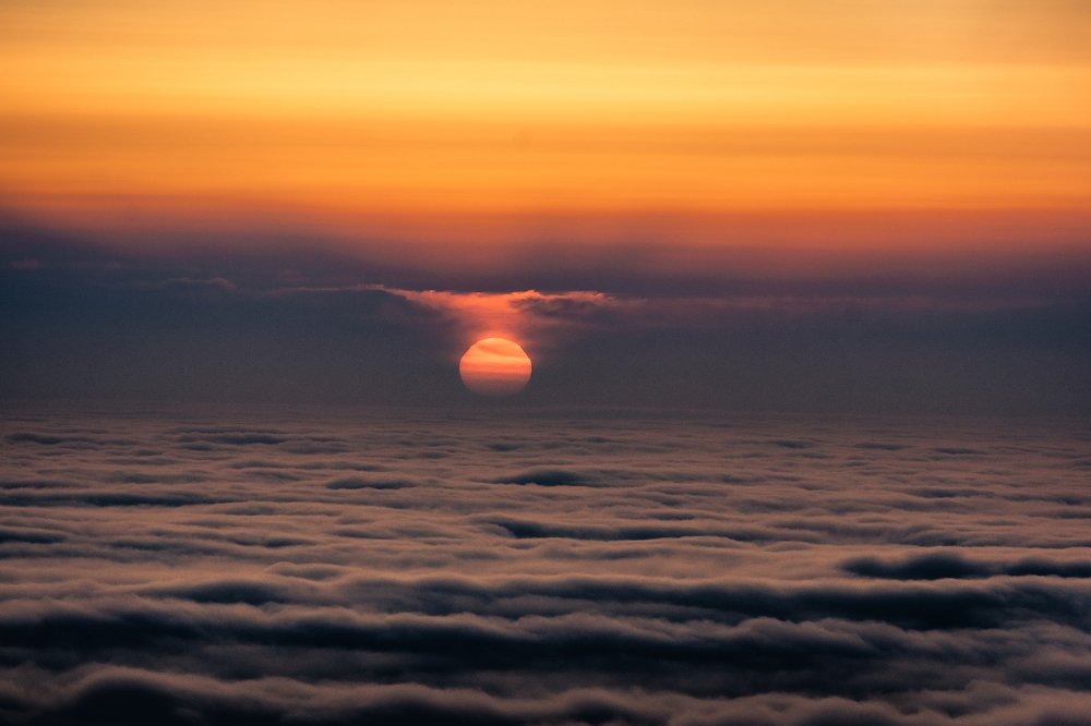 "Таблетка" умиротворения"