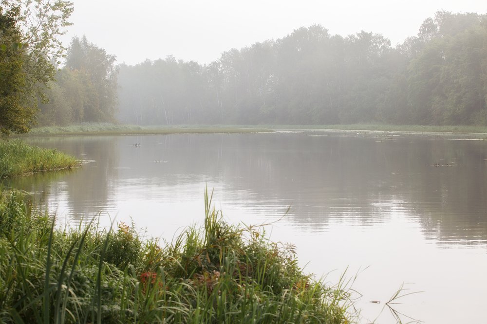 "Рассвет на Охте"