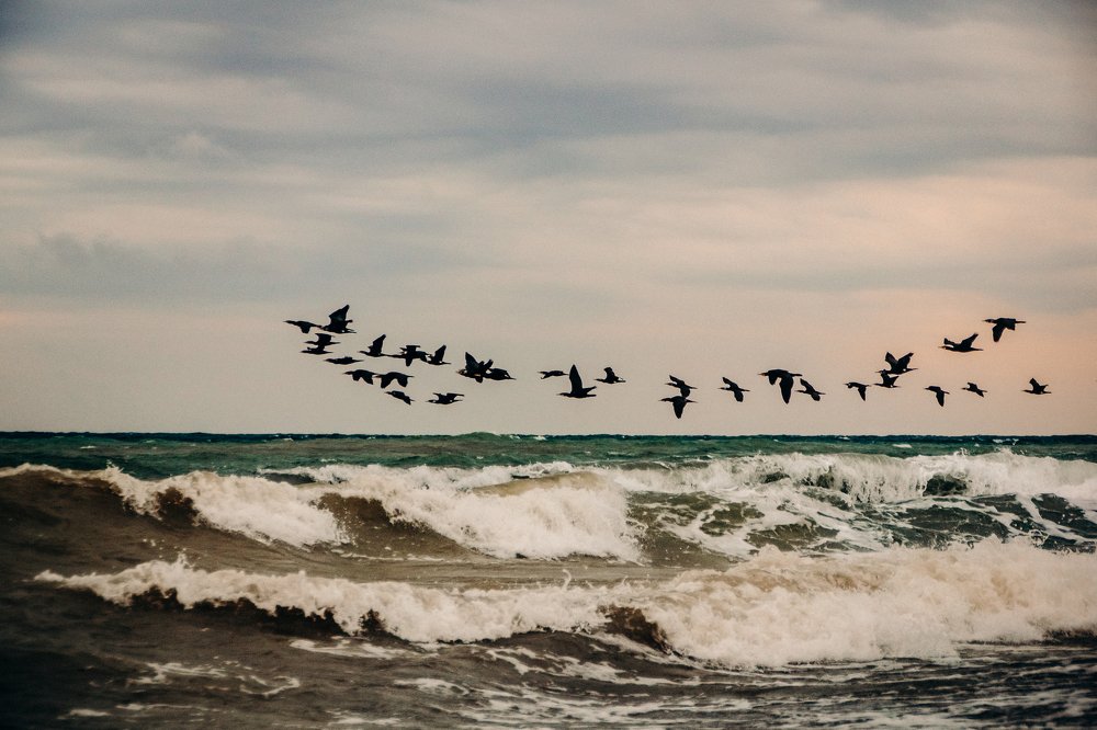 Пролетая над стихией