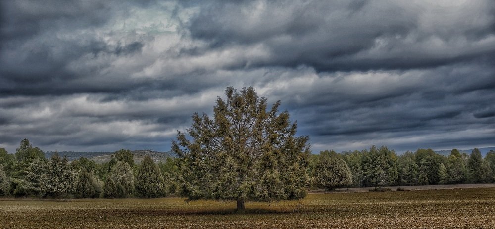 Soledad a la intemperie