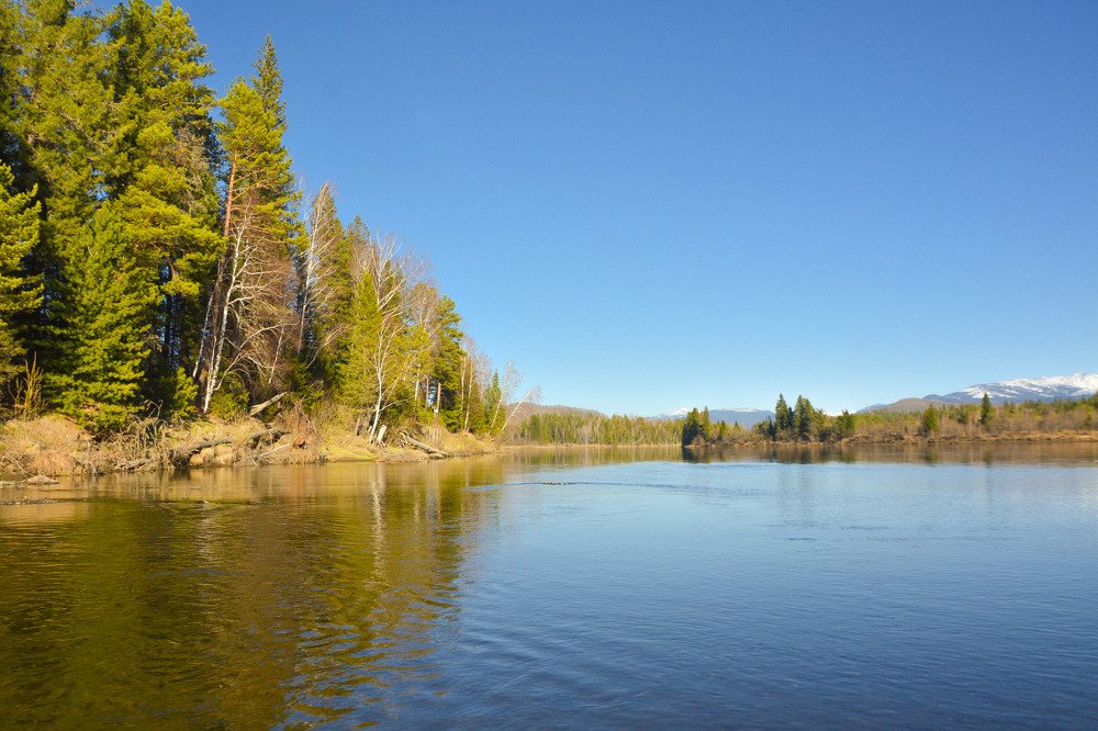По тихой воде