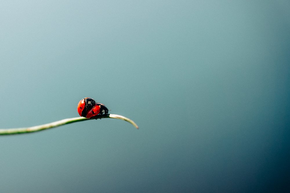 Весна пришла!