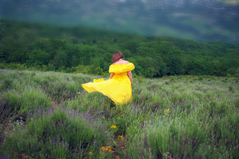 Лавандовое безумие