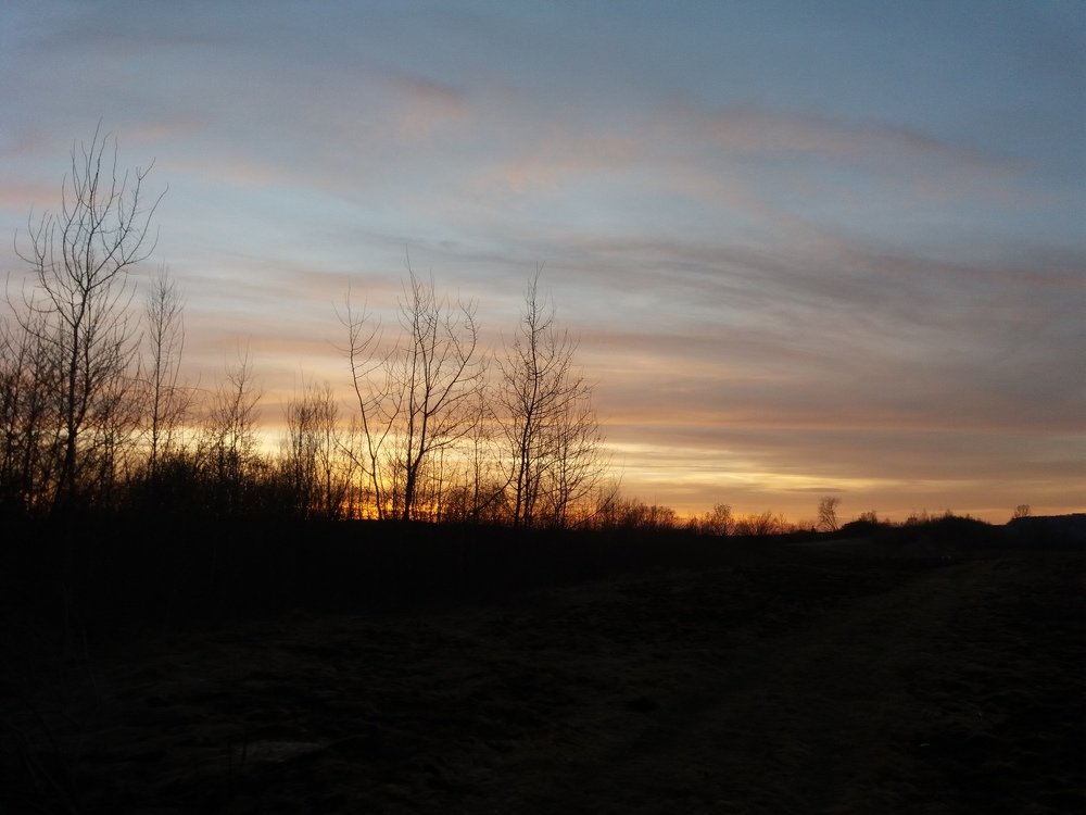 Photo #3313426