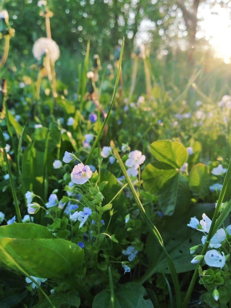 Photograph by Ирина Бобык