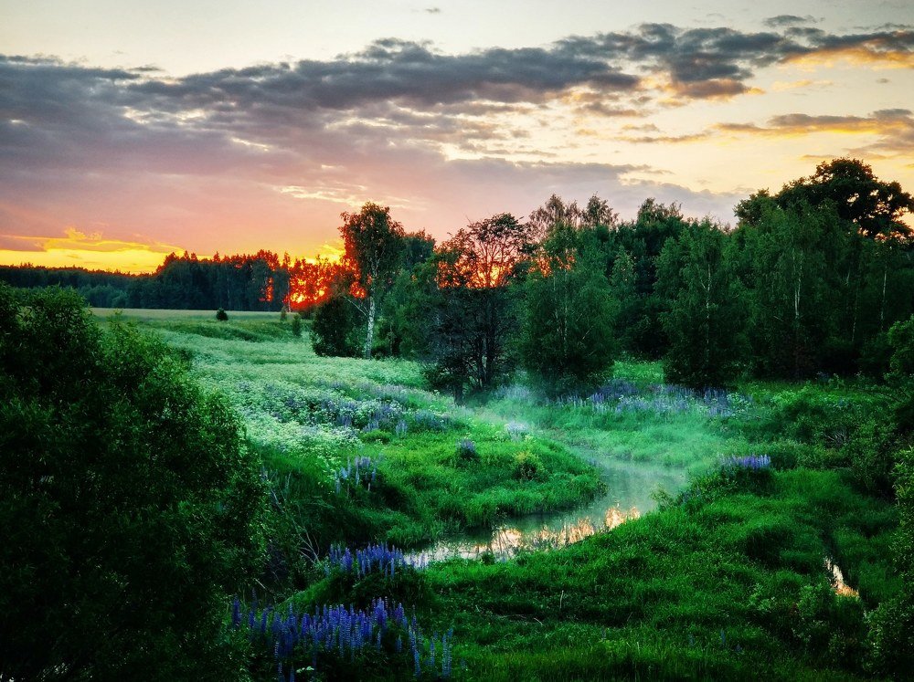 Вечерний пейзаж