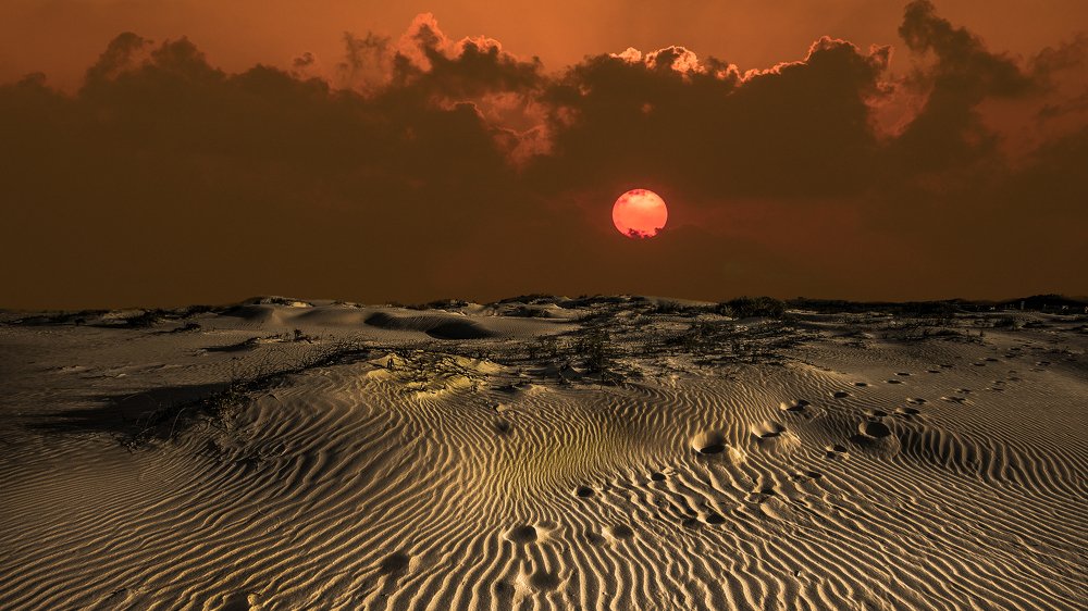 Photograph by Leonid Lan