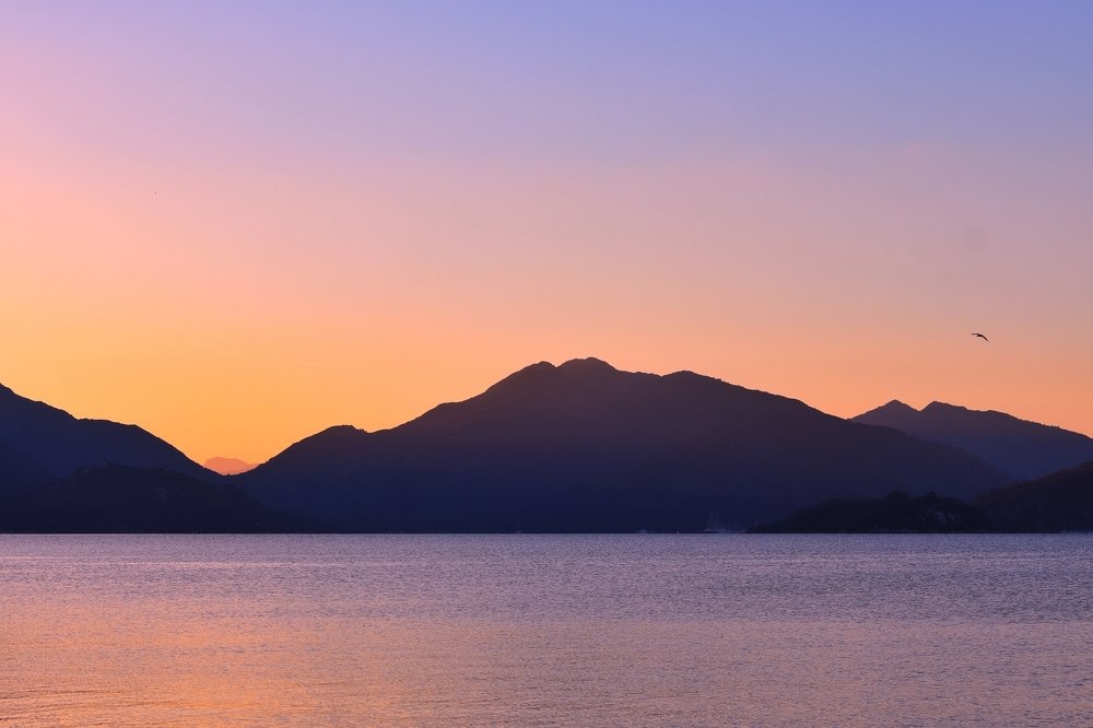 Рассвет не за горами