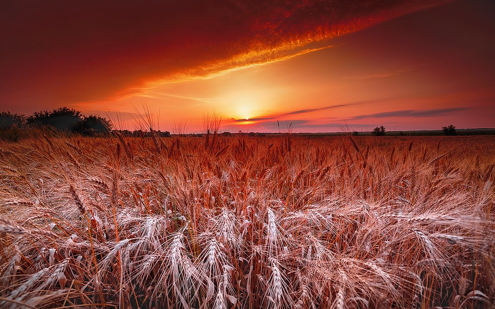 Июль. Жаркий закат Ставрополья.