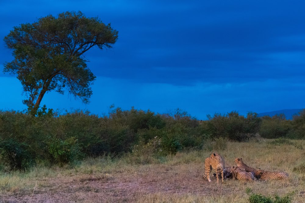 five brothers with kill