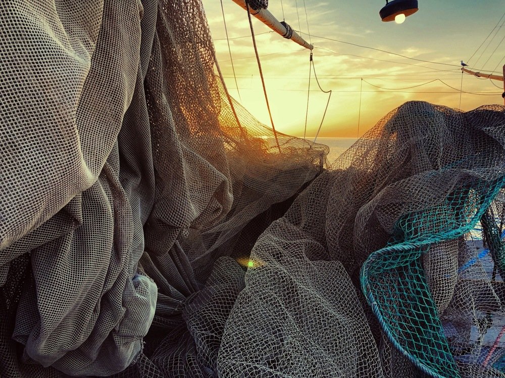 Fishing Net