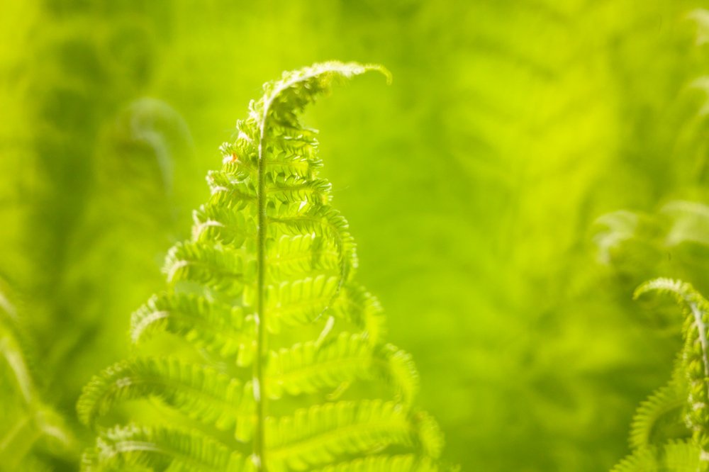 Photograph by Татьяна Макотра