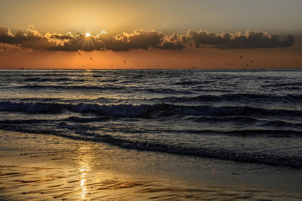 Photograph by Stanislav Kadishes