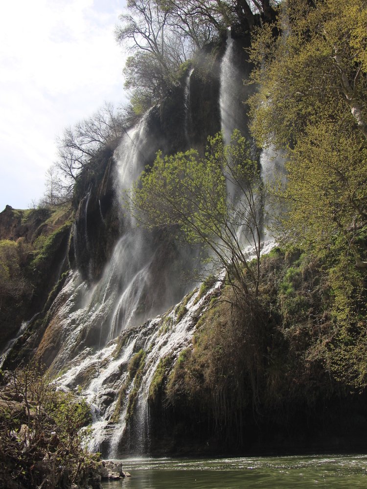 Photograph by Mina Moradi