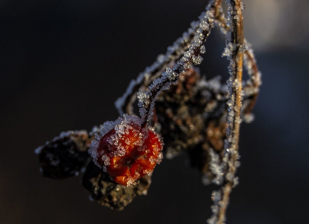 Photograph by Анна Панеева