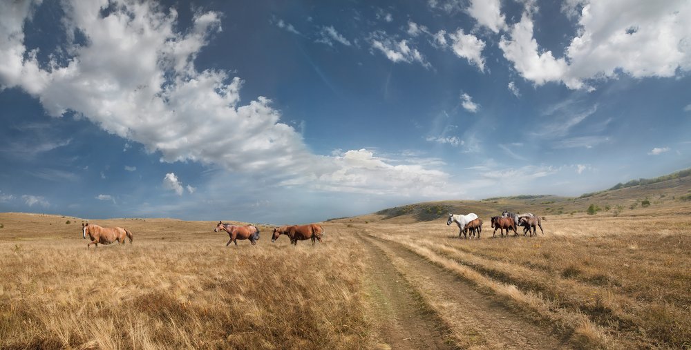 Караби-яйла