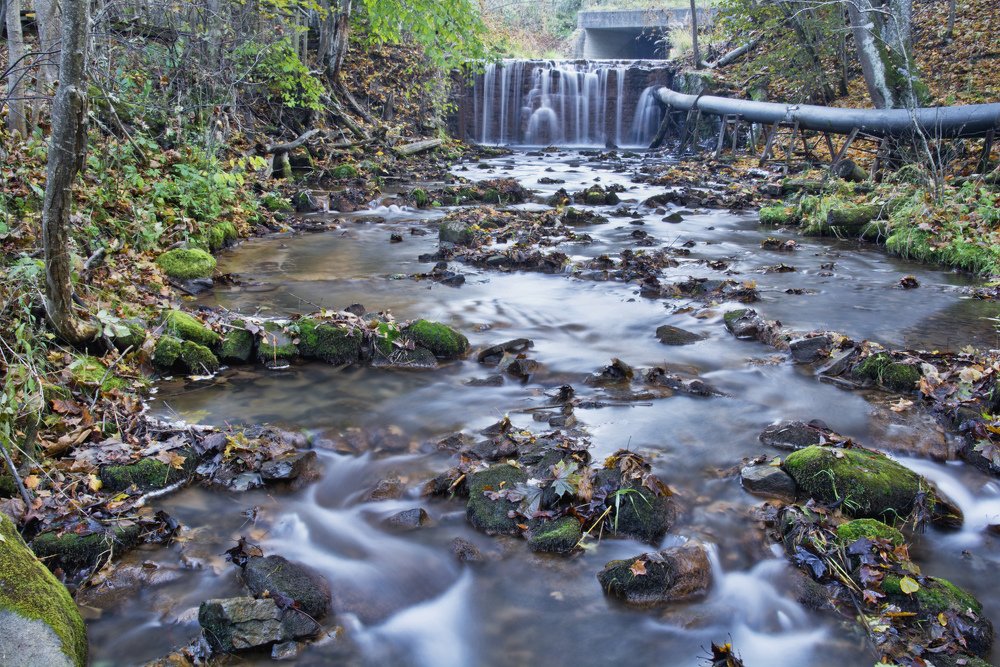 Photograph by Сергей Лубинец