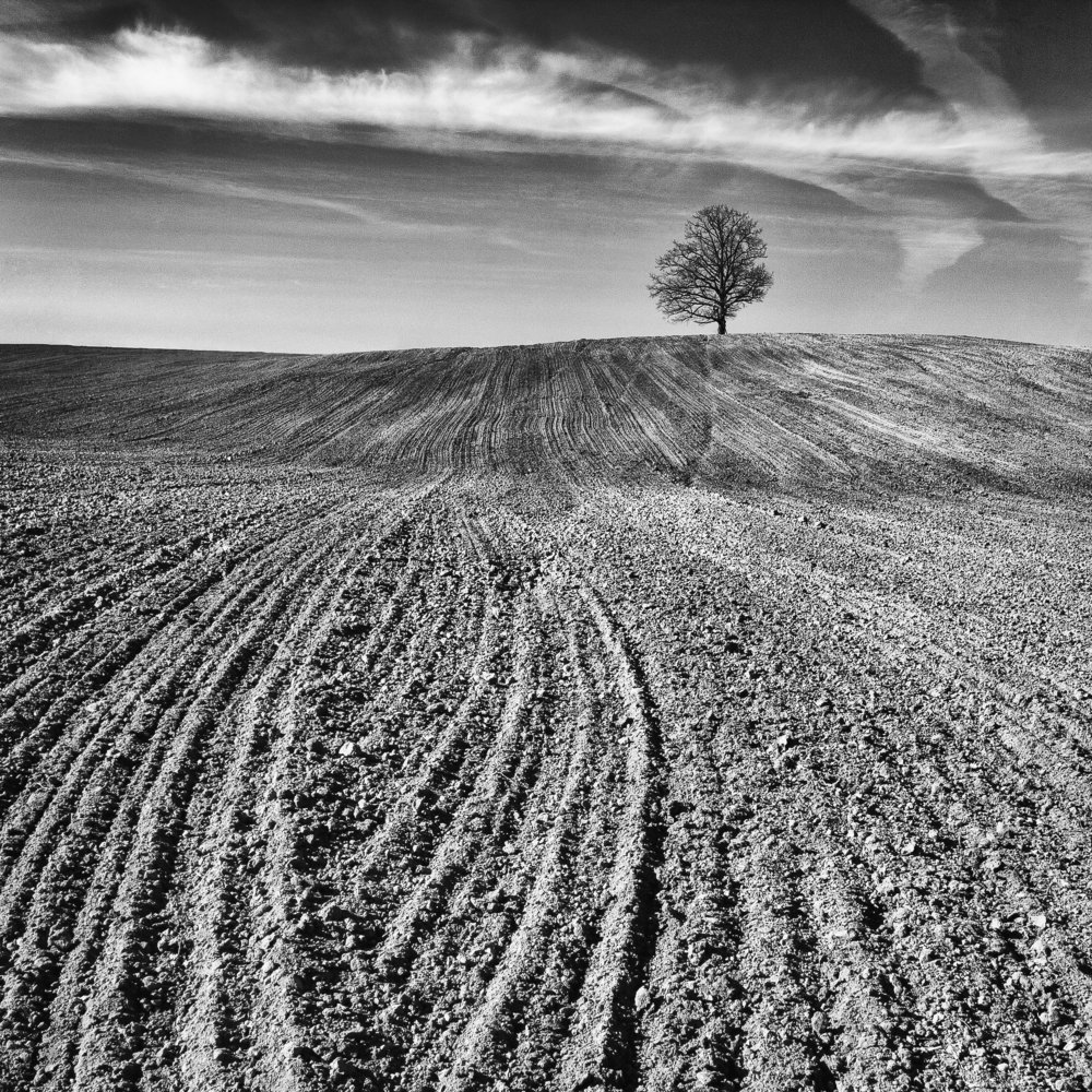 Photograph by Eriks Zilbalodis