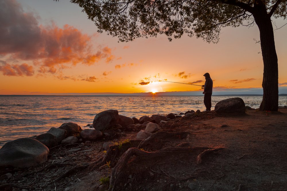 Ловец солнца